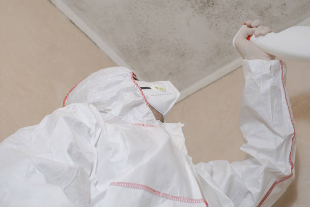 Best Emergency Mold Removal  in Upper Grand Lagoon, FL